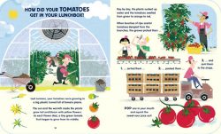 Lunchbox: the story of your food interior