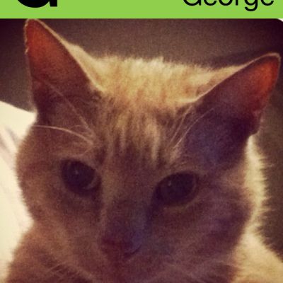 My A-Z iPhone app from Night & Day Studios