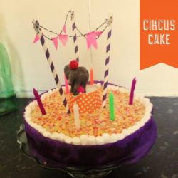 Circus themed birthday cake with elephant and washi tape bunting