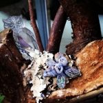 how to make a fairy garden