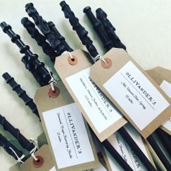 Harry Potter wands