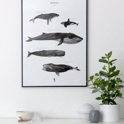 Coco Lapine whale print at White Black Grey