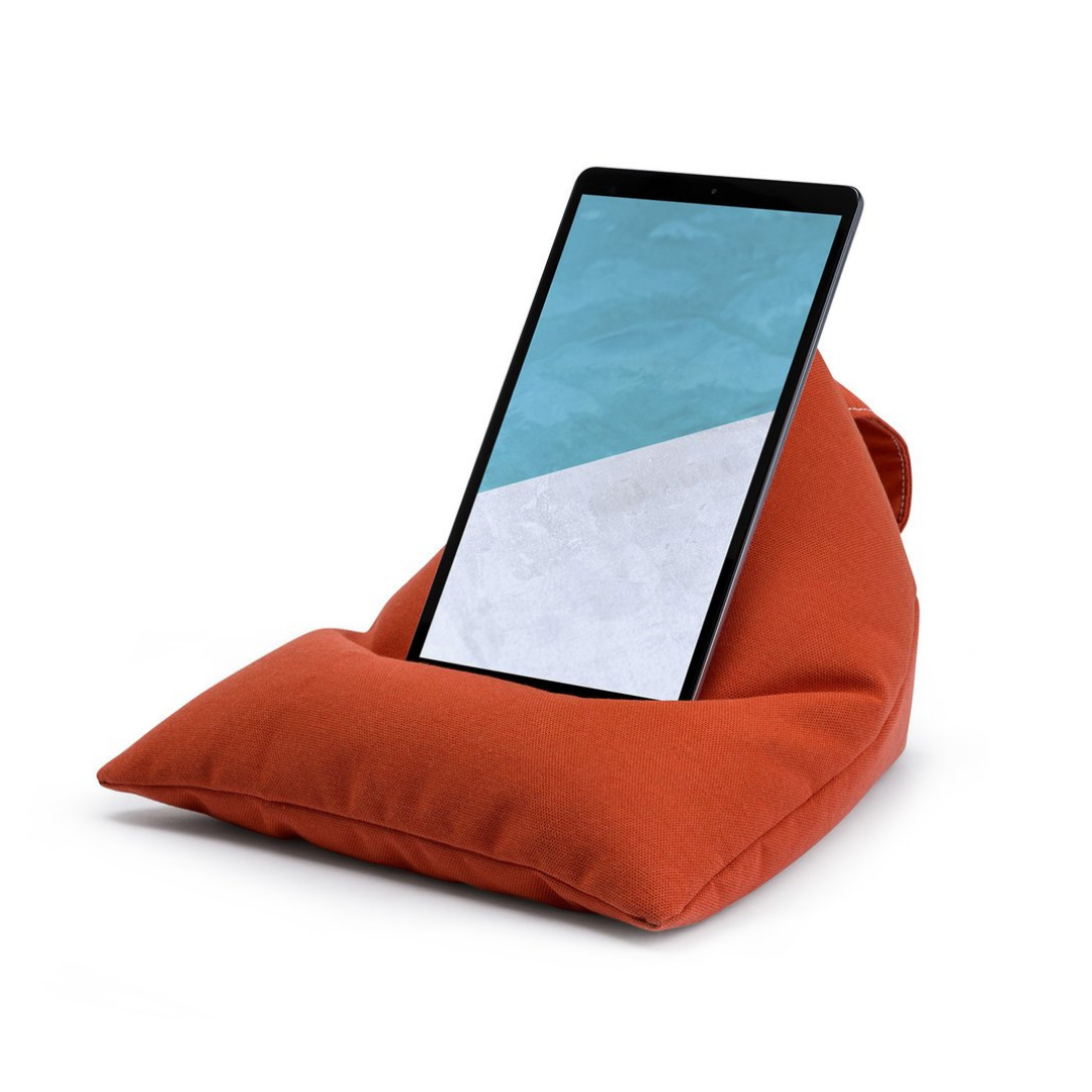 iPad beanbag, £29.99, Armadillo Sun.