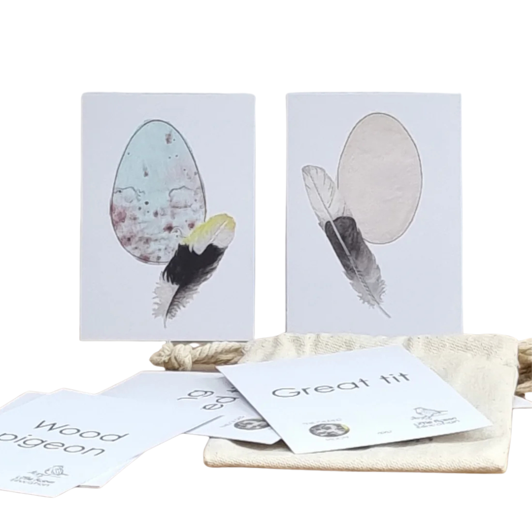 Little Robin bird egg flashcards, £7.99, Wickle